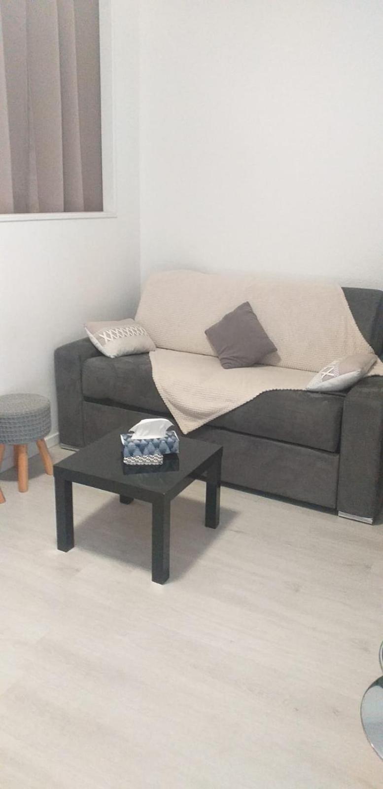 Lourdes Pyrenees Apartment Bagian luar foto