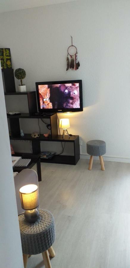 Lourdes Pyrenees Apartment Bagian luar foto